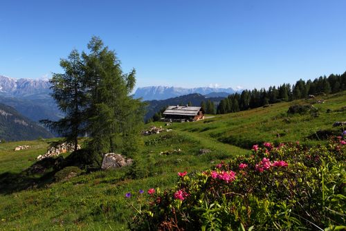 Wandern Grossaltal